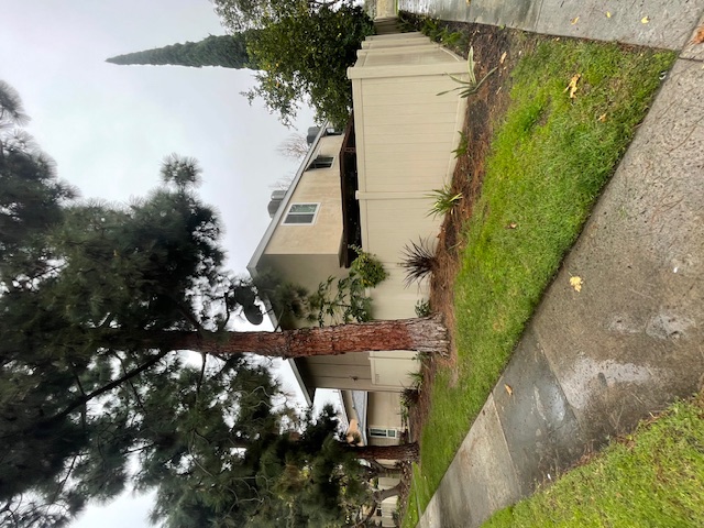 13514 Village Drive - 1